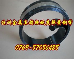 55cr3圓棒 金屬材料欄目 jdzj.com